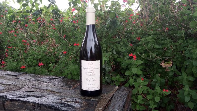 MUSCADET Fût de Chêne 2020 MUSCADET Fût de Chêne 2020