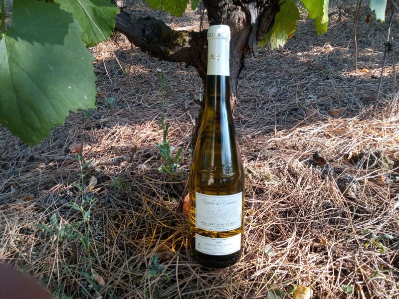 MUSCADET Sèvre et Maine sur Lie 2020 MUSCADET Sèvre et Maine sur Lie 2020