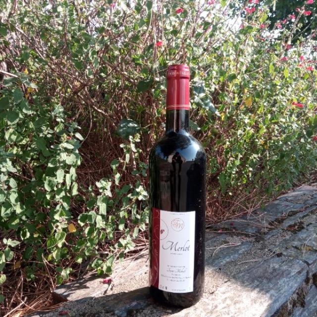 MERLOT ROUGE